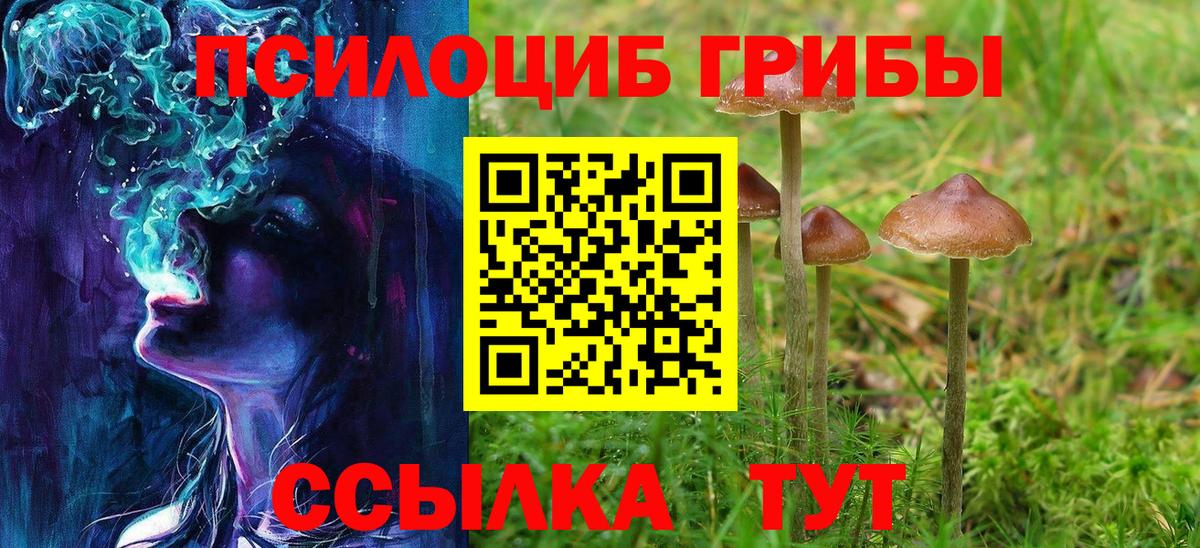 Дзержинск  как найти закладки  Вход с VPN  Галлюциногенные грибы GOLDEN TEACHER 
