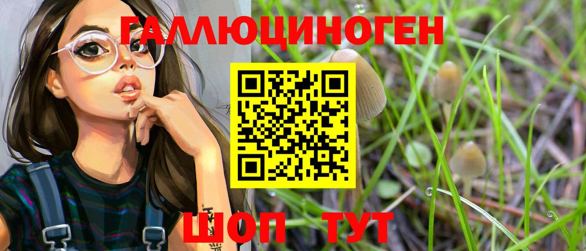 Галлюциногенные грибы GOLDEN TEACHER Дзержинск